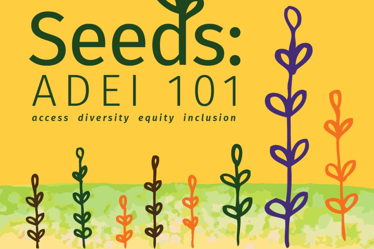 Seeds: ADEI 101